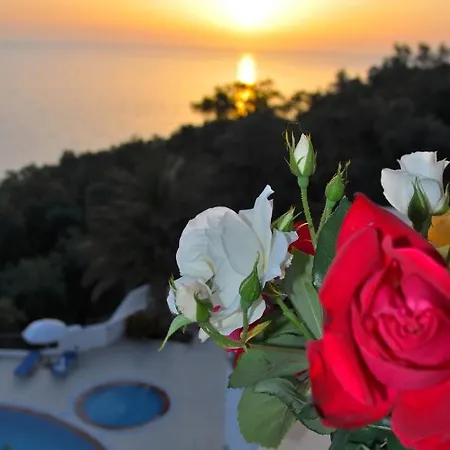 Maria With Pool And Panorama View - Agios Gordios 1 Apartment *